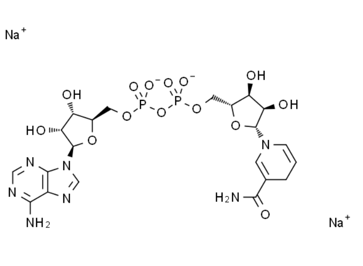 屏幕截图 2025-03-25 095538.png