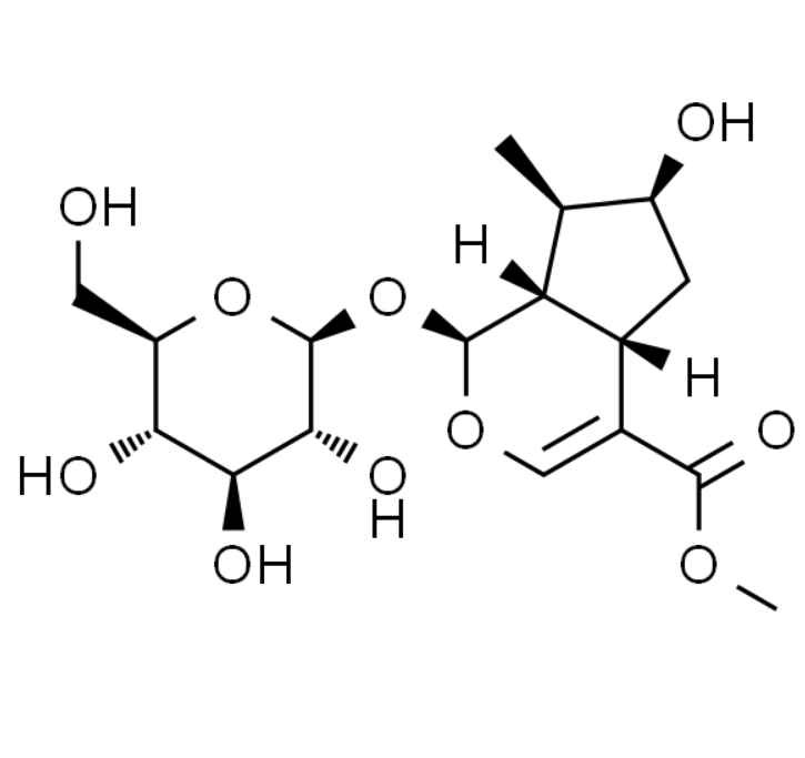 屏幕截图 2025-03-25 134313.png
