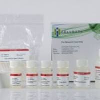 CELLDATA RNAstorm™ 2.0 FFPE RNA Extraction Kit