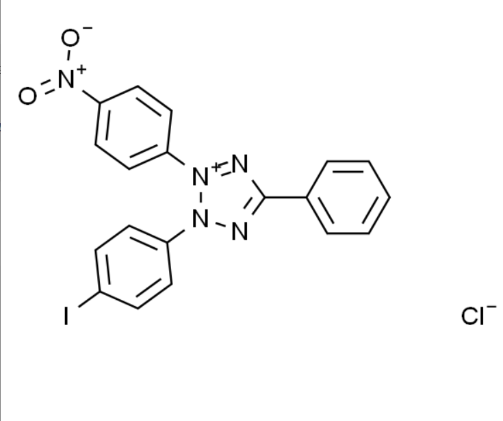 屏幕截图 2025-03-25 162628.png