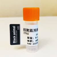 500μg 猪蓝耳病毒变异株外膜N蛋白；猪蓝耳病毒N蛋白；猪蓝耳病毒抗原