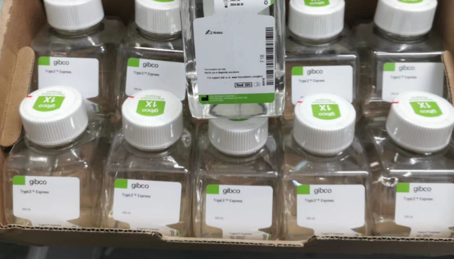 电泳缓冲液、染料和凝胶加样液的配置