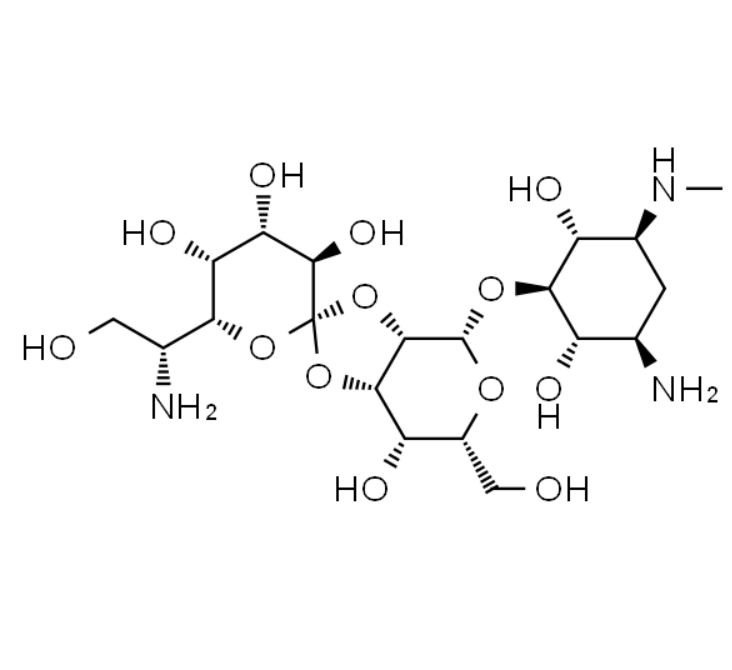 屏幕截图 2025-03-25 171253.png