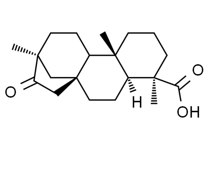 屏幕截图 2025-03-25 155001.png