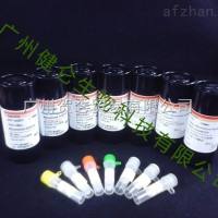 甲型流感病毒IgG-IFA检测试剂盒(荧光玻片法)