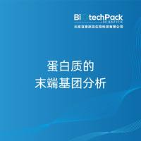 蛋白质的末端基团分析