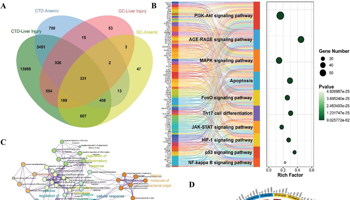 IF:14.3！网络毒理学+网络药理学，双剑合璧，登顶Advanced Science！