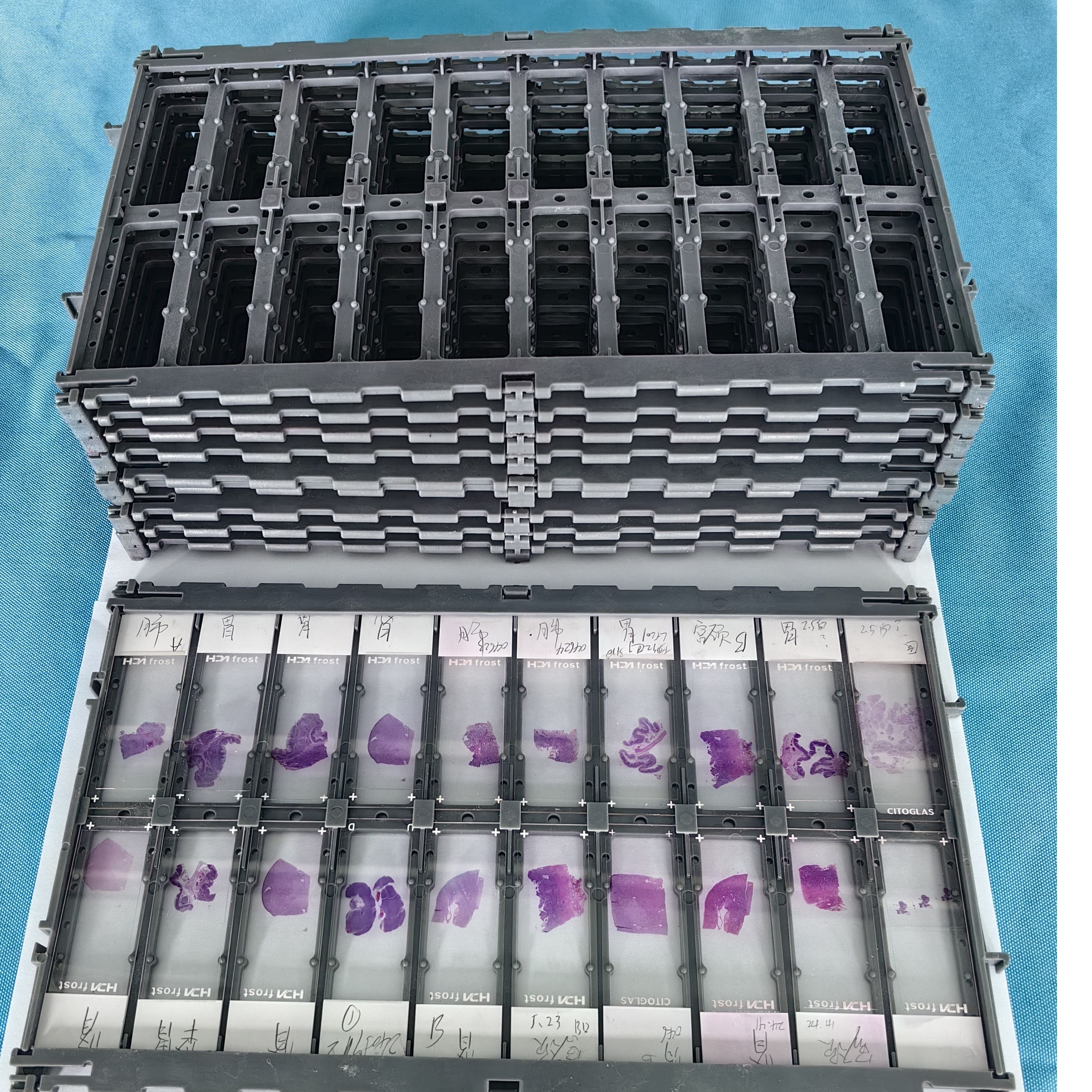 染色缸染色架染色板 载玻片夹清洗系统 烤片 染色 清洗 晾片 装载用