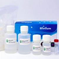 CELLDATA RNAstorm™ Fresh Cell and Tissue RNA