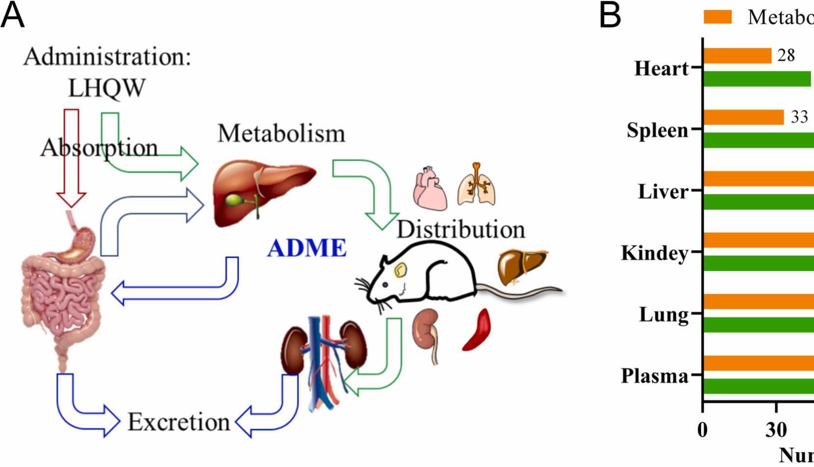 IF:9.1，网络药理学+多组学，连花清瘟胶囊抗炎效果大揭秘！