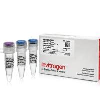 Platinum™ SuperFi II DNA 聚合酶