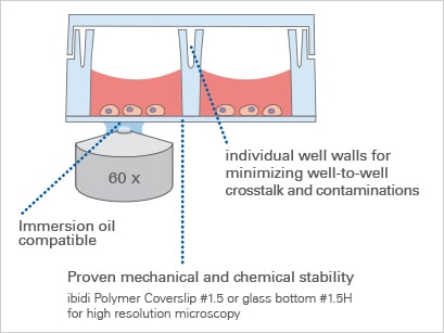 IBIDI 易必迪 8 孔高壁腔室载玻片,ibiTreat