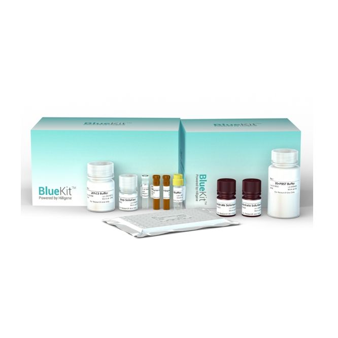 293T HCP ELISA检测试剂盒