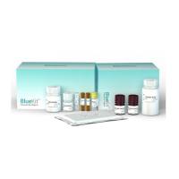 293T HCP ELISA检测试剂盒