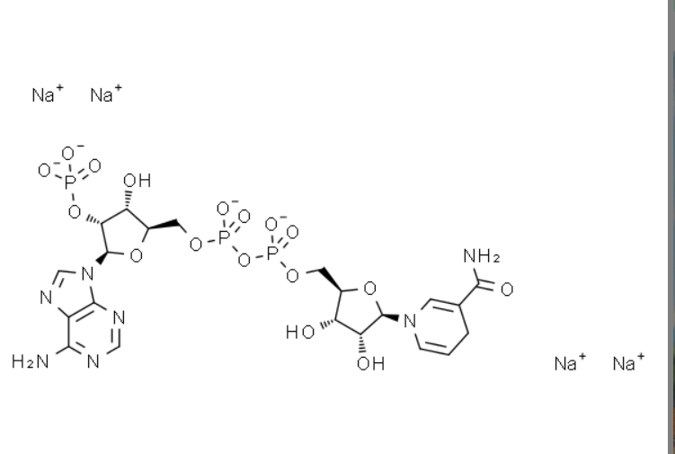 屏幕截图 2025-03-25 095146.png