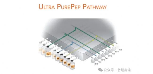 自动化多肽合成：从基础到优化，新手必知的实用指南