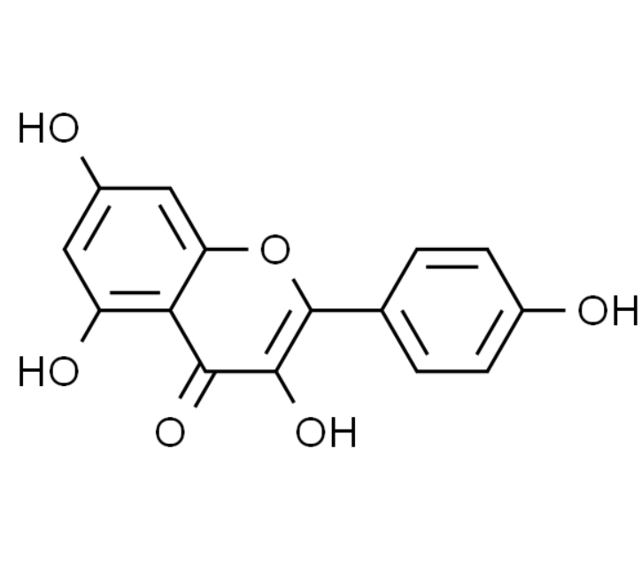屏幕截图 2025-03-25 152827.png