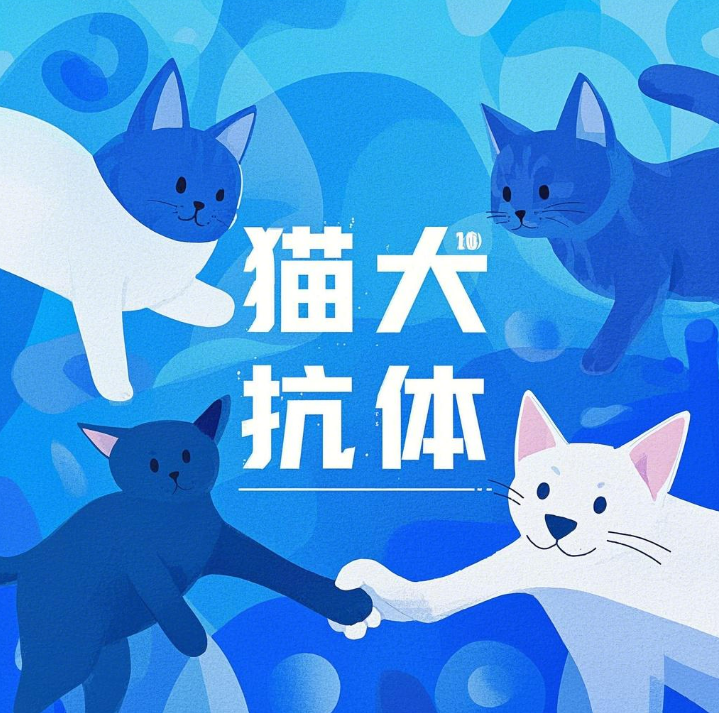 500μg 抗犬CRP单克隆抗体；犬C反应蛋白配对抗体；犬C