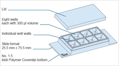 IBIDI 易必迪 8 孔高壁腔室载玻片,ibiTreat