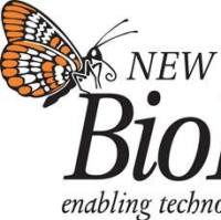 NEBNext® Quick Ligation Module