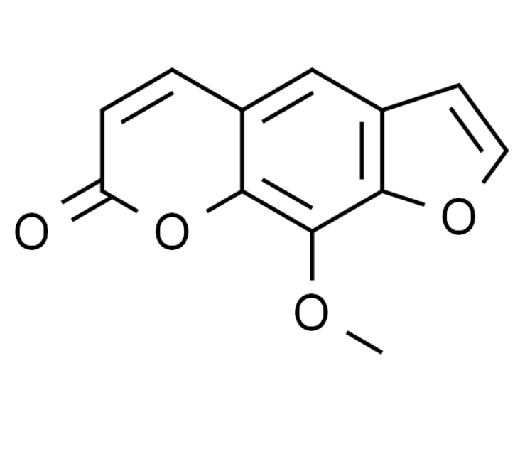 屏幕截图 2025-03-25 104106.png