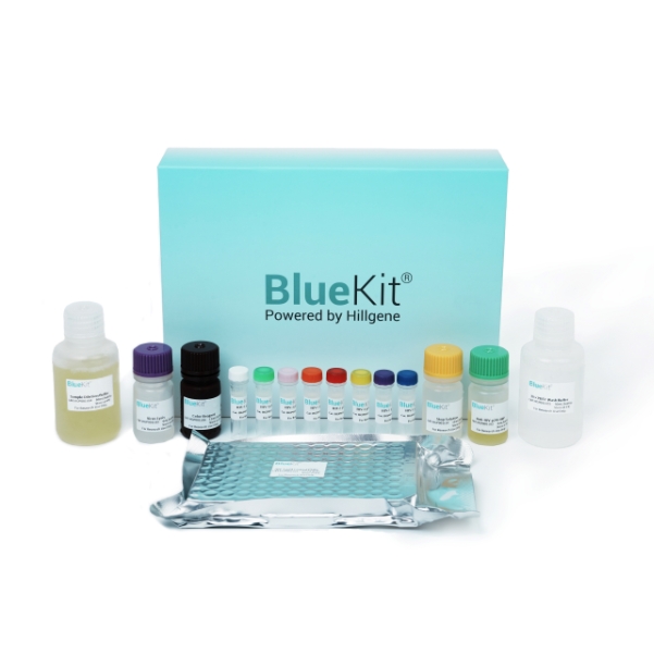 慢病毒滴度p24快速ELISA检测试剂盒