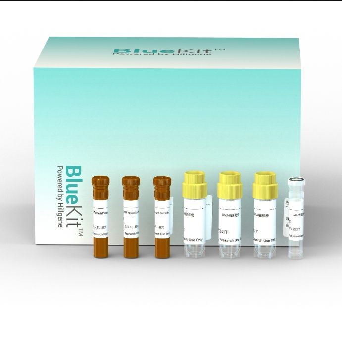 Human残留DNA检测试剂盒 (qPCR-荧光探针法)
