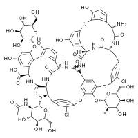 IT1380 替考拉宁 抗感染 索莱宝