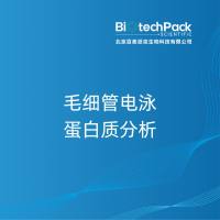 毛细管电泳蛋白质分析