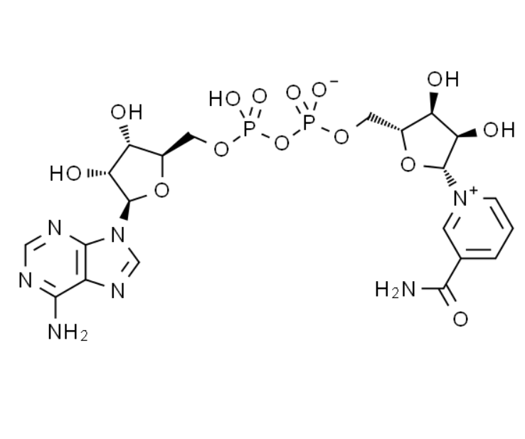 屏幕截图 2025-03-25 095932.png