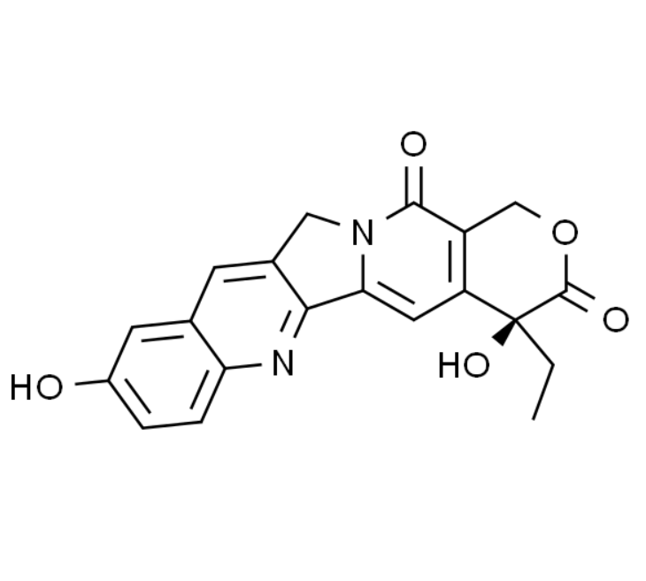 屏幕截图 2025-03-26 083901.png