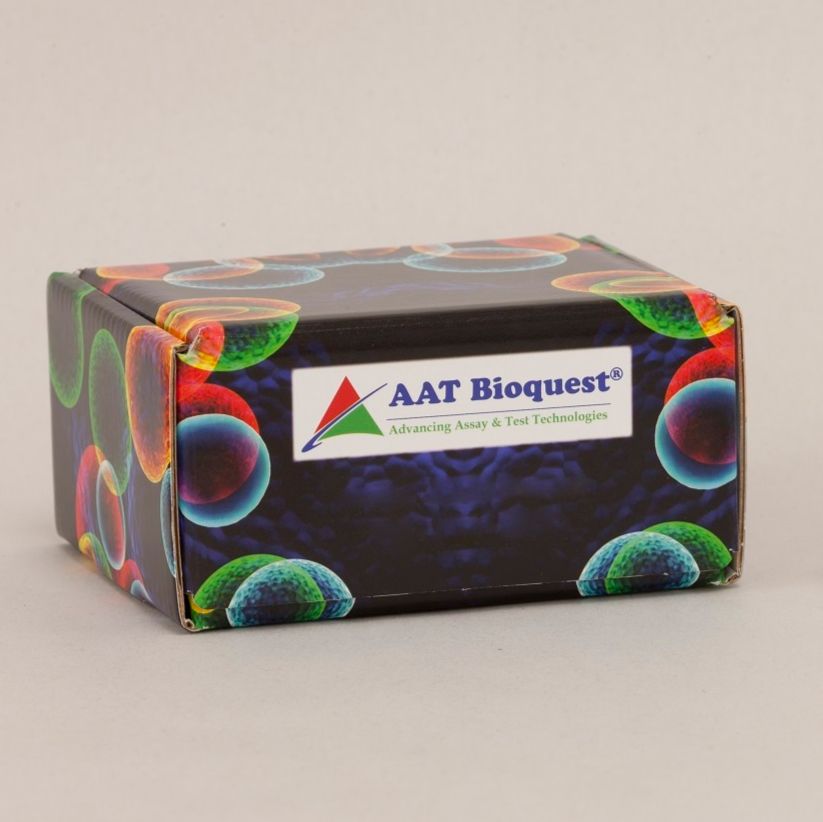 Breast Tumor Kinase (Phospho-Tyr447) Antibody