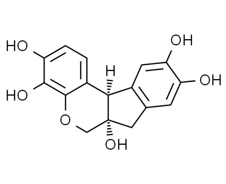 屏幕截图 2025-03-26 090406.png