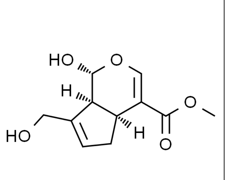 屏幕截图 2025-03-26 130249.png