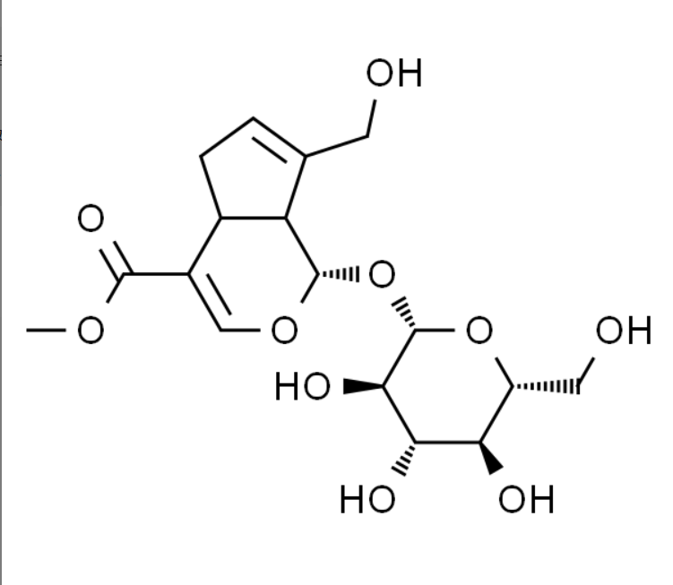 屏幕截图 2025-03-26 114749.png