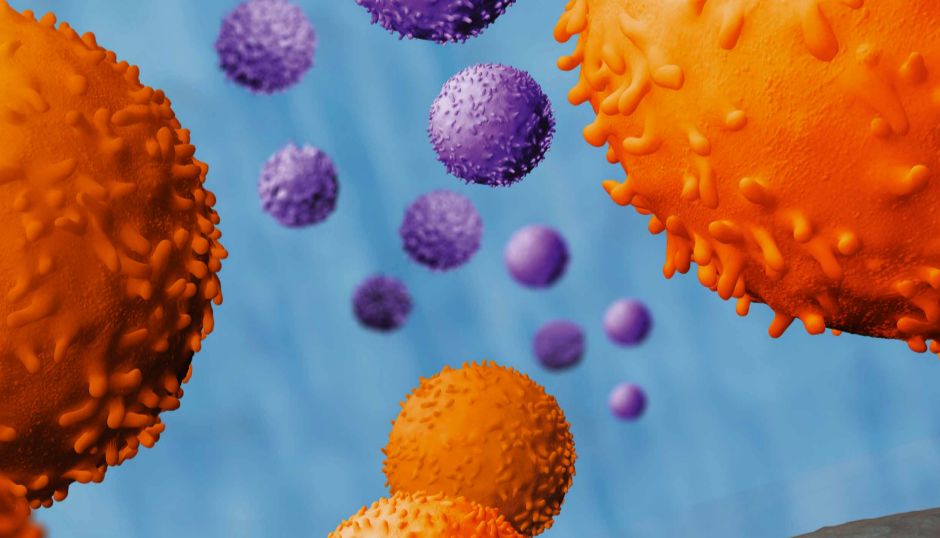 如何利用磁珠快速进行细胞分选？——（一）磁珠分类