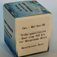 探针法牛支原体实时定量PCR试剂盒
