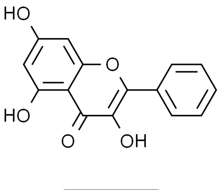 屏幕截图 2025-03-26 132156.png
