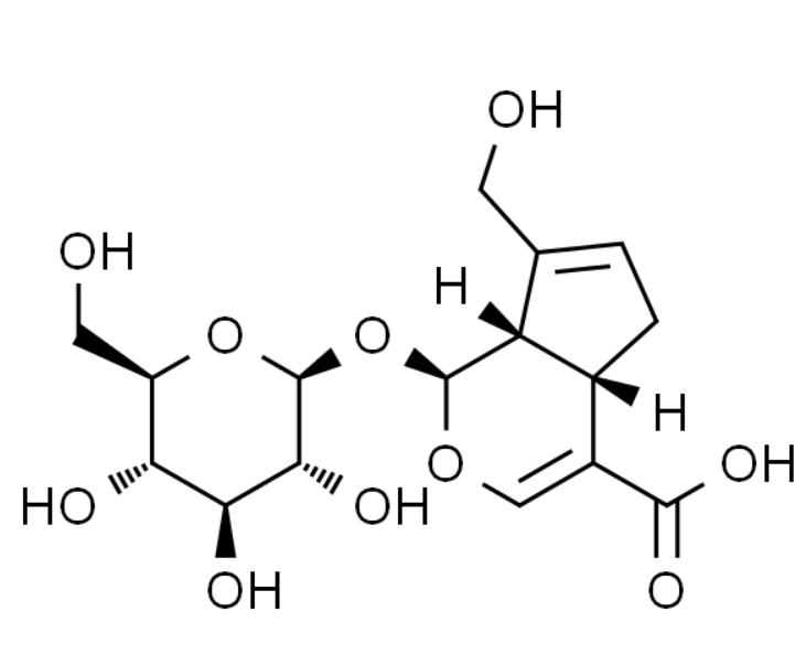屏幕截图 2025-03-26 114445.png
