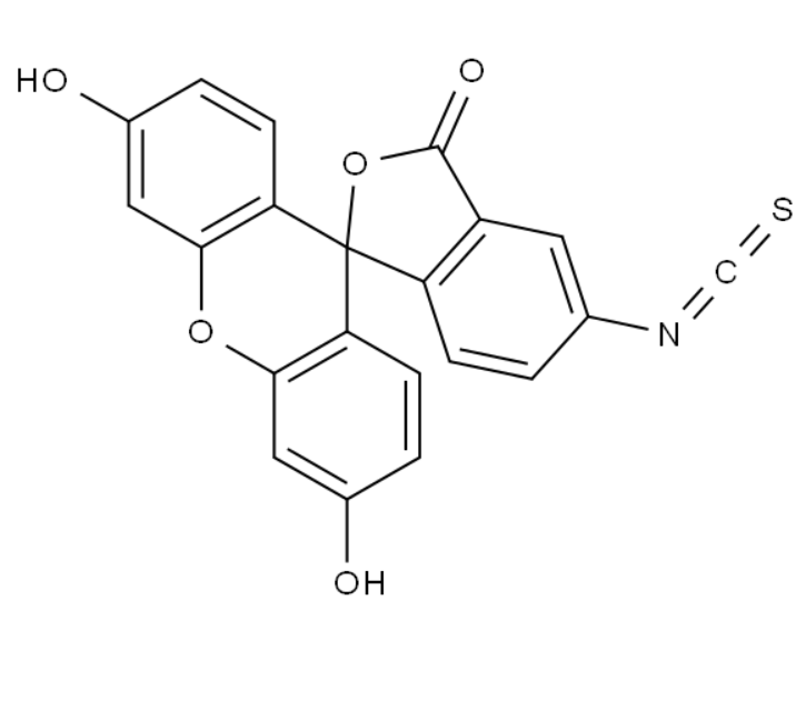 屏幕截图 2025-03-26 143057.png