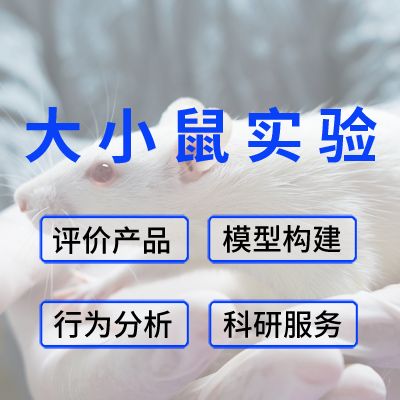 大小鼠模型实验/ 行为分析/ 科研服务/ 产品功效与安全评价