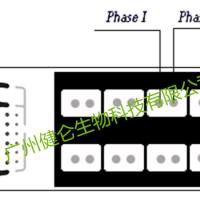 黑.热病IFA荧光玻片检测试剂盒(出入境专用)