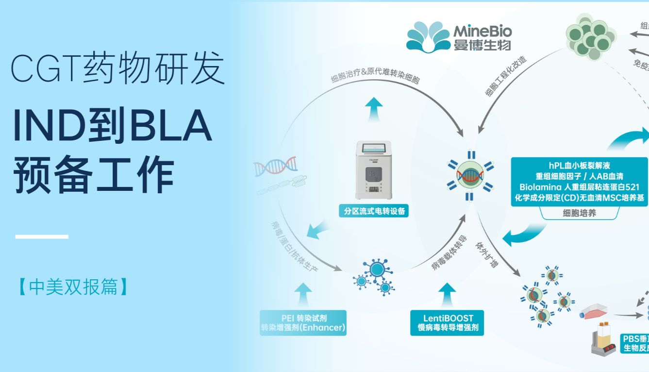 CGT药物研发：如何为IND到BLA的监管提交提前做好准备（中美双报篇）