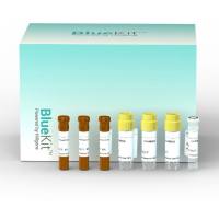Human残留DNA片段分析检测试剂盒 (qPCR-荧光探针法)