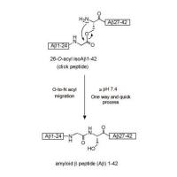 β-Amyloid (1-42), human (金斯瑞 A00866 现货特卖)