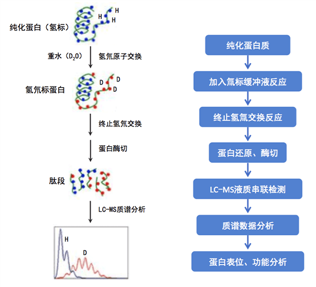 技术资料图片1