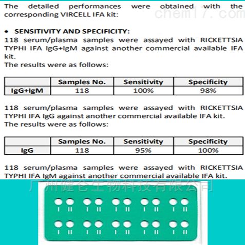 呼吸道合胞病毒IgG-IFA检测试剂盒（荧光玻片法）