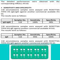 呼吸道合胞病毒IgG-IFA检测试剂盒（荧光玻片法）