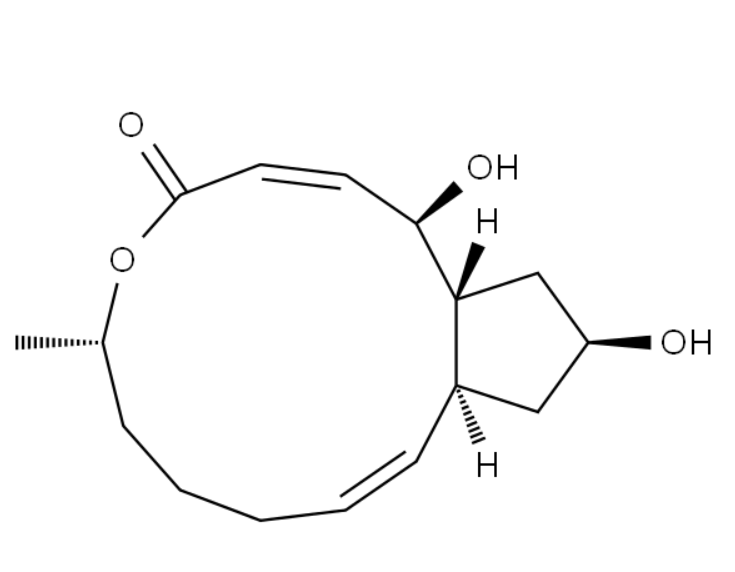 屏幕截图 2025-03-27 163729.png