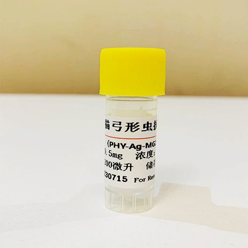 500μg 犬弓形虫P30蛋白;犬弓形虫抗原;犬弓形虫蛋白;犬弓形虫P30